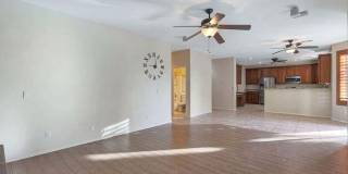 7863 West Melinda Lane Gallery 13