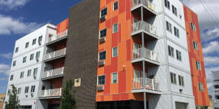 21 Orange Gallery 84