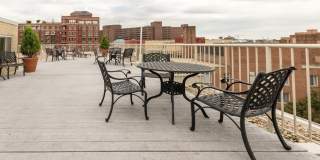 The Delano Gallery 74