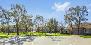 Camino Real Gallery 29