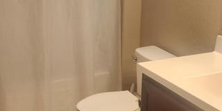 20602 N 274th Avenue Gallery 10