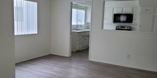475 E Cypress Ave. Gallery 46