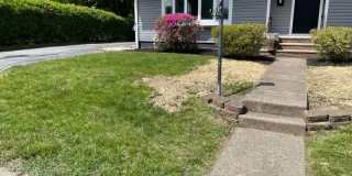 8 Wilcox Ave Gallery 3