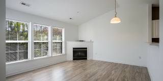 Chesterfield Gardens Gallery 11