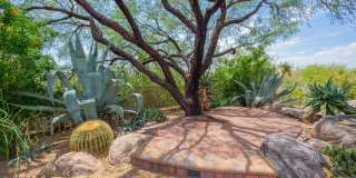 8193 E SAND FLOWER Drive Gallery 92