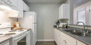 ReNew Forest Creek Gallery 1