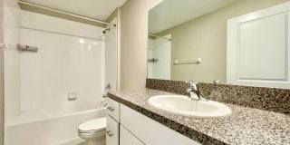 12964 Wildflower Meadow Dr Gallery 11