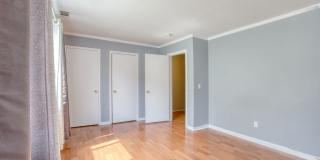 Lovely 2 bed 1.5 bat Condo is quiet Stamford Neighborhood Gallery 14