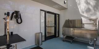 Mountain Run Gallery 19