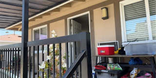 7631 Amazon 7631 Amazon Gallery 1