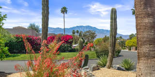 70790 Ironwood Drive Gallery 4