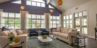 The Tides at Myrtle Beach Gallery 33