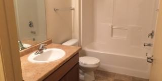 21 Orange Gallery 54