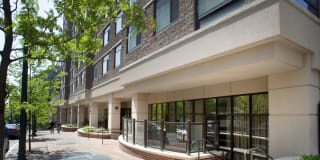 Kanso Silver Spring Gallery 26