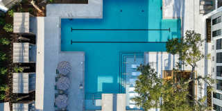 Proximity Carolina Beach Gallery 17