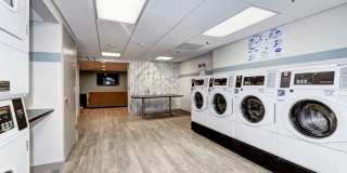 The Mark Alexandria Gallery 35