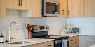 Wren on the Creek Gallery 4