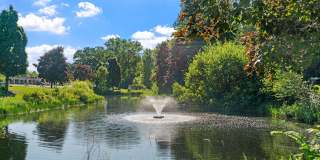 Cedars Lakeside Gallery 30