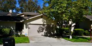 10336 Ridgewater Lane - 1 Gallery 1