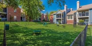 Timber Hollow Apartments Gallery 6