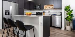 Alexan Main Street Gallery 23