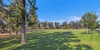 Spacious 4-Bedroom Home Across from Cottonwood County Park – El Cajon Gallery 14