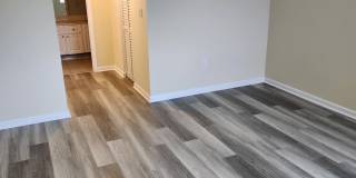 731 N Pine Island Road Gallery 5