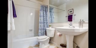 International Village Gallery 12