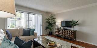 Club Valencia Gallery 2