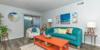 The Solana Vista Gallery 40