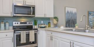 Ariel Springs Gallery 45