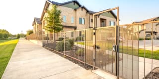 Olympus Waterford Gallery 26