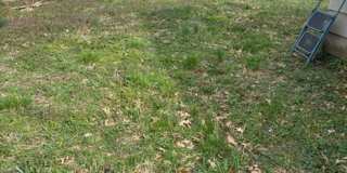 2818 South Villa Drive, Evansville, Indiana 47714 Gallery 13