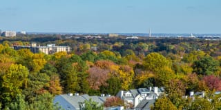 Munson Hill Towers Gallery 14