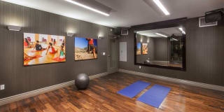 The Verdant The Verdant Gallery 15