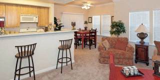 Bella Rose Gallery 12