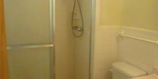 Walk to Campus! Incredible location, amazing space in this sprawling 4br home in downtown Chapel Hill Gallery 15