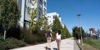 Edgewater Gallery 39