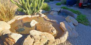 6894 E THIRSTY CACTUS Lane Gallery 44