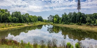 Ardmore at the Trail Gallery 44