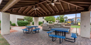 The Place At Wickertree Apartments Gallery 16