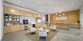 Citizen Gallery 12