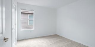 4442 Grassland Pass Gallery 14