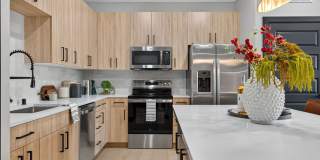 Elysium Reno Gallery 5