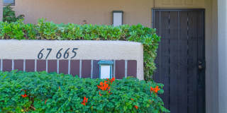 67665 Lagos Way Gallery 32