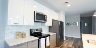 Excelsior Park Gallery 39