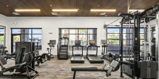 The Aster at Mountain Vista - BRAND NEW Gallery 26