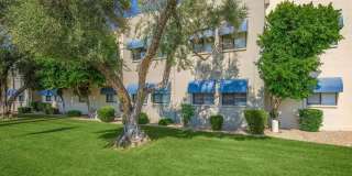 Palm Desert Gallery 24