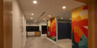 Ascent at Metropolitan Naples Gallery 13