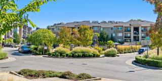 Vue Issaquah Gallery 55